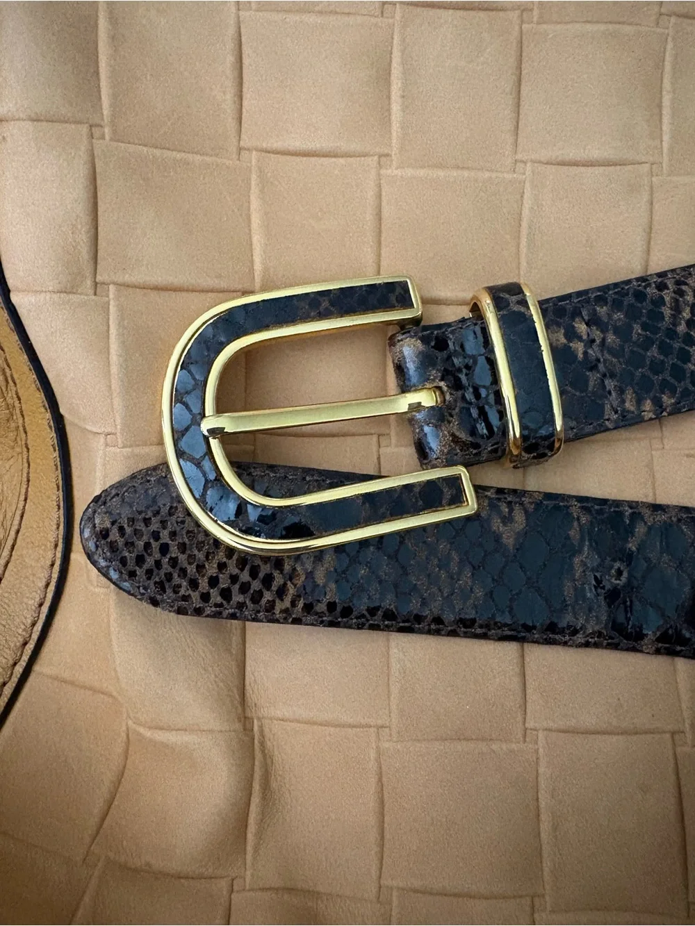 Men's Brown Snake-Pattern Leather Belt with Gold Buckle
